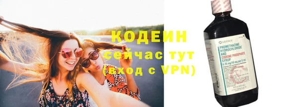 сатива Магас