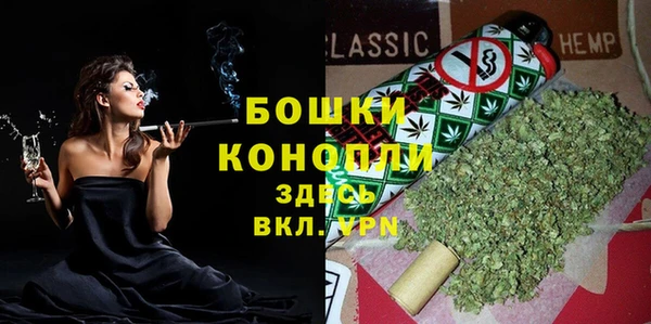 индика Липки