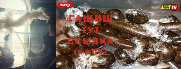 сатива Магас