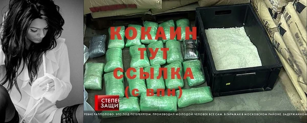 сатива Магас