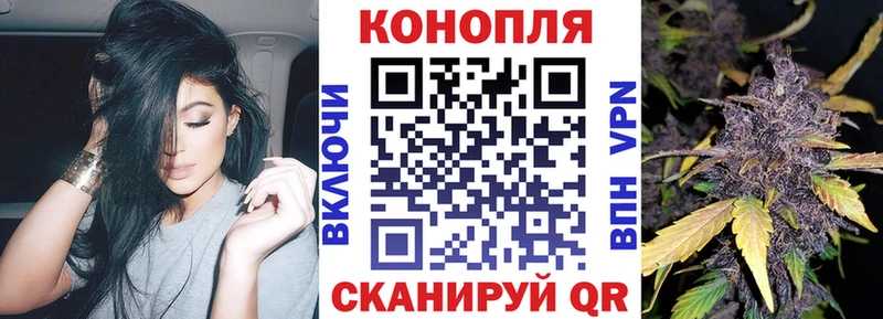 Бошки Шишки VHQ  Салехард 